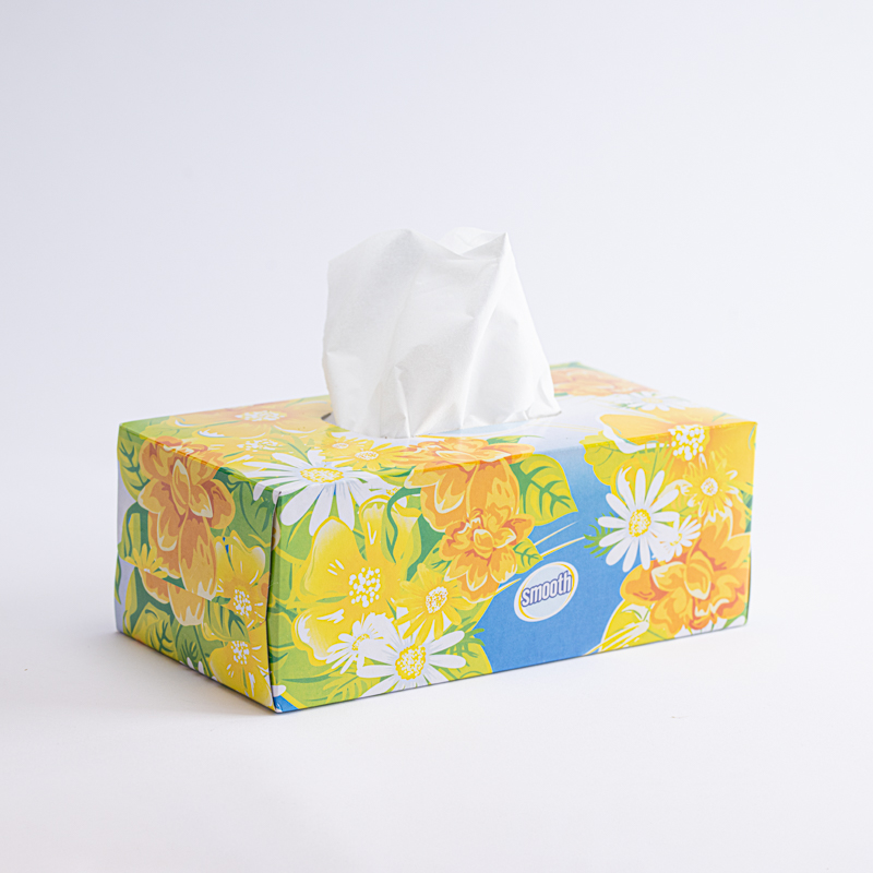 Smooth Facial Tissue Box – 200 Tissues – Andre Distribution